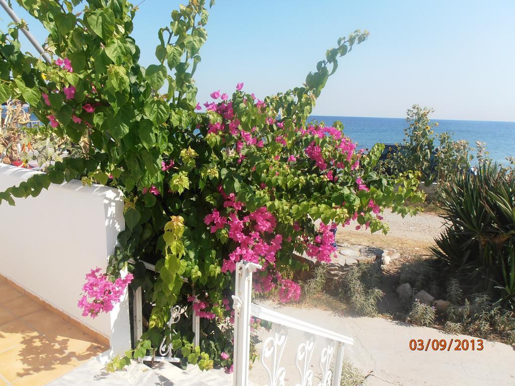 Iro Apartments Paralia Agias Foteinis Екстериор снимка